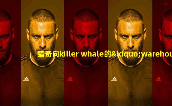 猎奇向killer whale的“warehouse”
